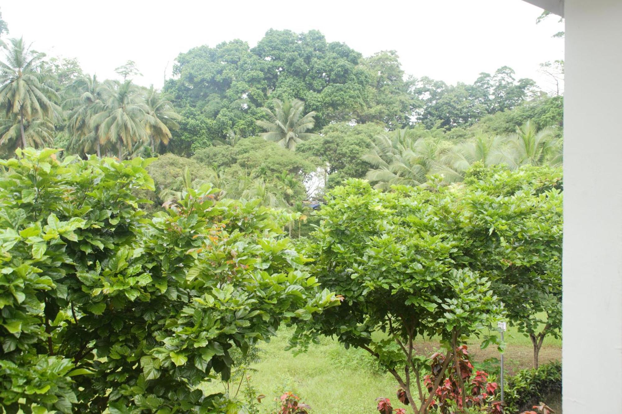 โรงแรมเอ็กโซติกา สแควร์ Lakshmanpur ภายนอก รูปภาพ